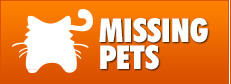 Are you missing your beloved pet? Please click here!