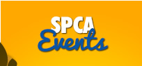Click here to find out more about our upcoming and past events