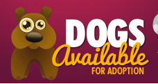 Dogs Available For Adoption