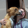 Click here to find out more about Nugget and his wonderful new home!