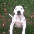 Click here to find out more about Xena - rags to riches story!